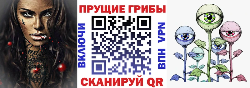 кракен   что такое наркотик  Шахунья  Галлюциногенные грибы Psilocybe 